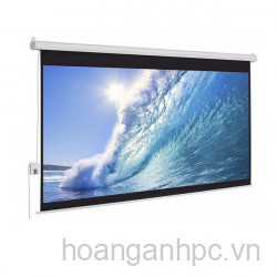 màn chiếu điện Lyscreen EES-70s 70" inch (1.78m x 1.78m)